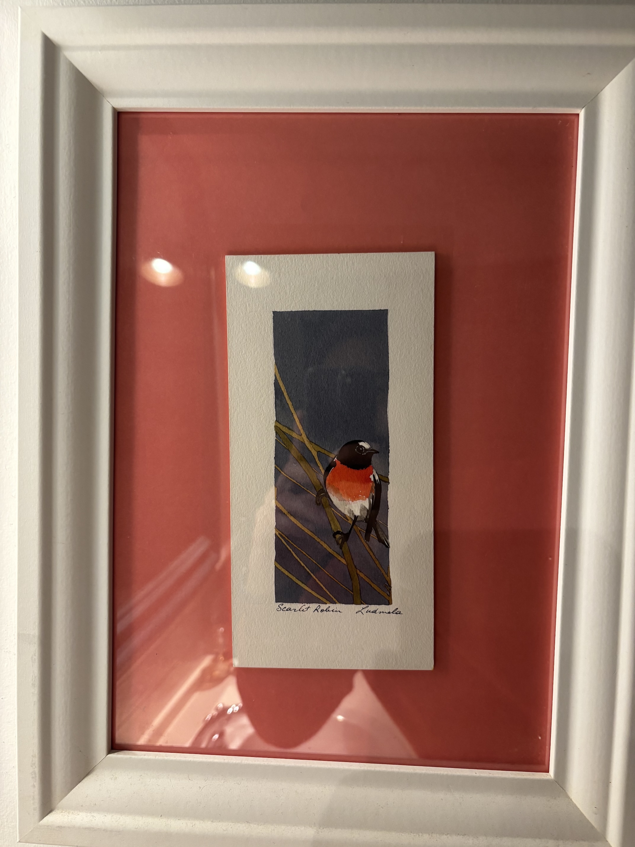 The Scarlet Robin painting hanging in our bathroom.