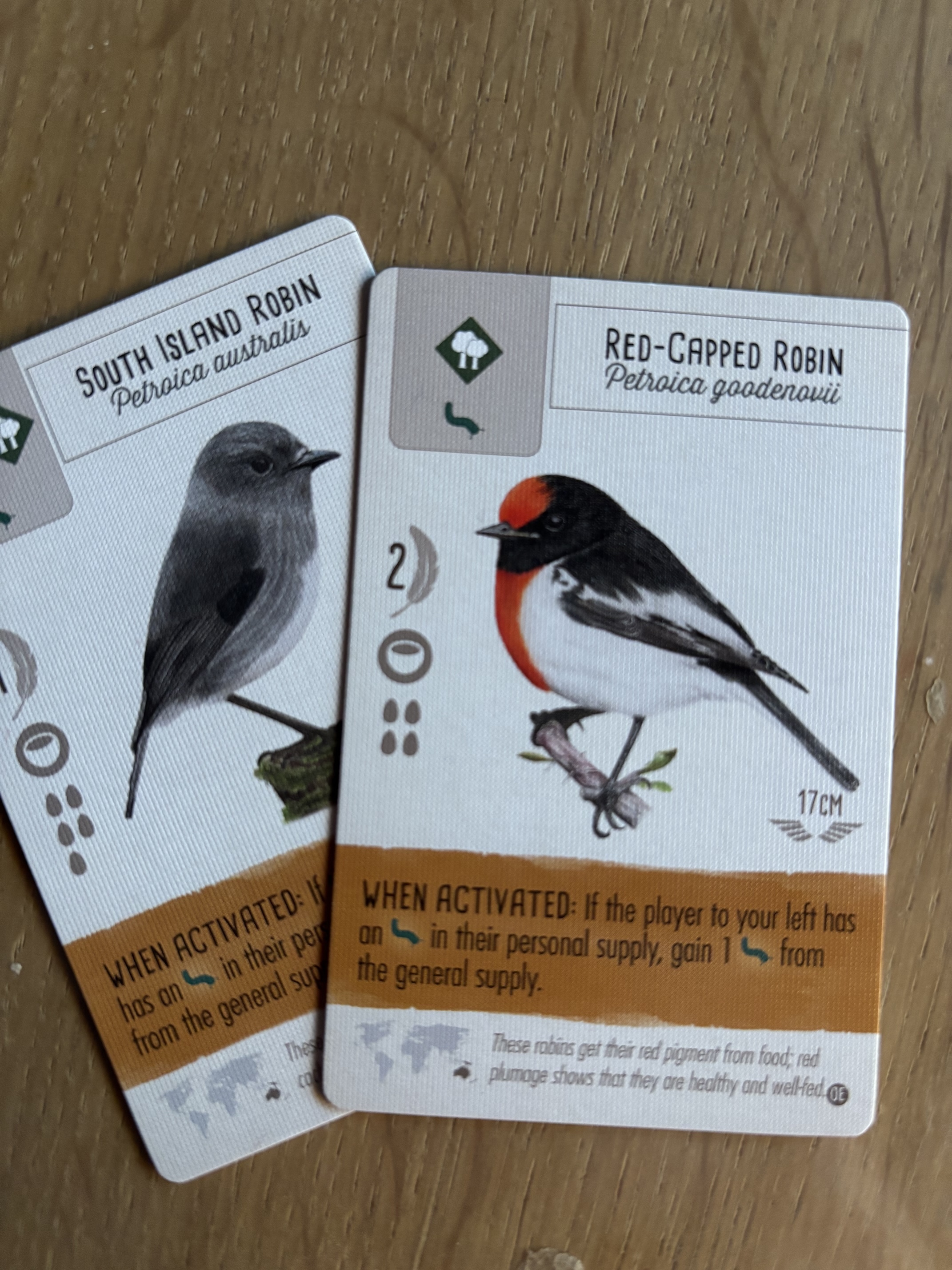 Winning Robin cards from the board game Wingspan.